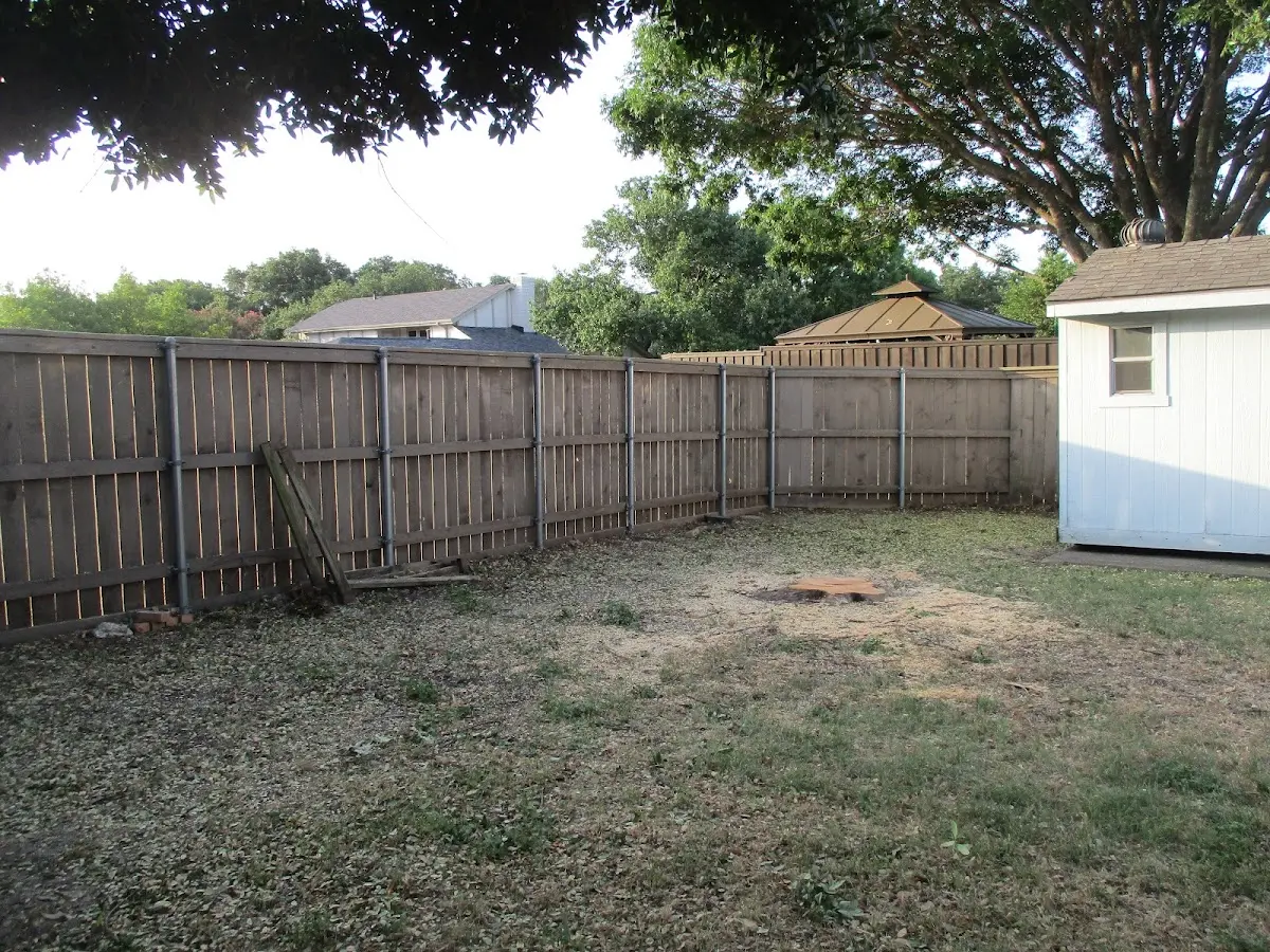 Cleared yard after professional tree removal in Youngstown